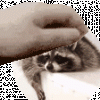 c0dcc862-5134-4d8f-b33d-d31f916ff3f8.gif