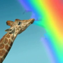 Best Unicorn