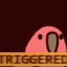 :triggeredparrot: