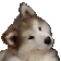 :husky: