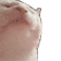 :Cat: