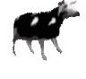 :PolishCow: